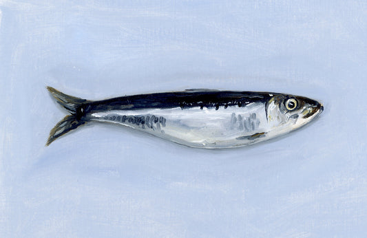 Fish on a light blue background