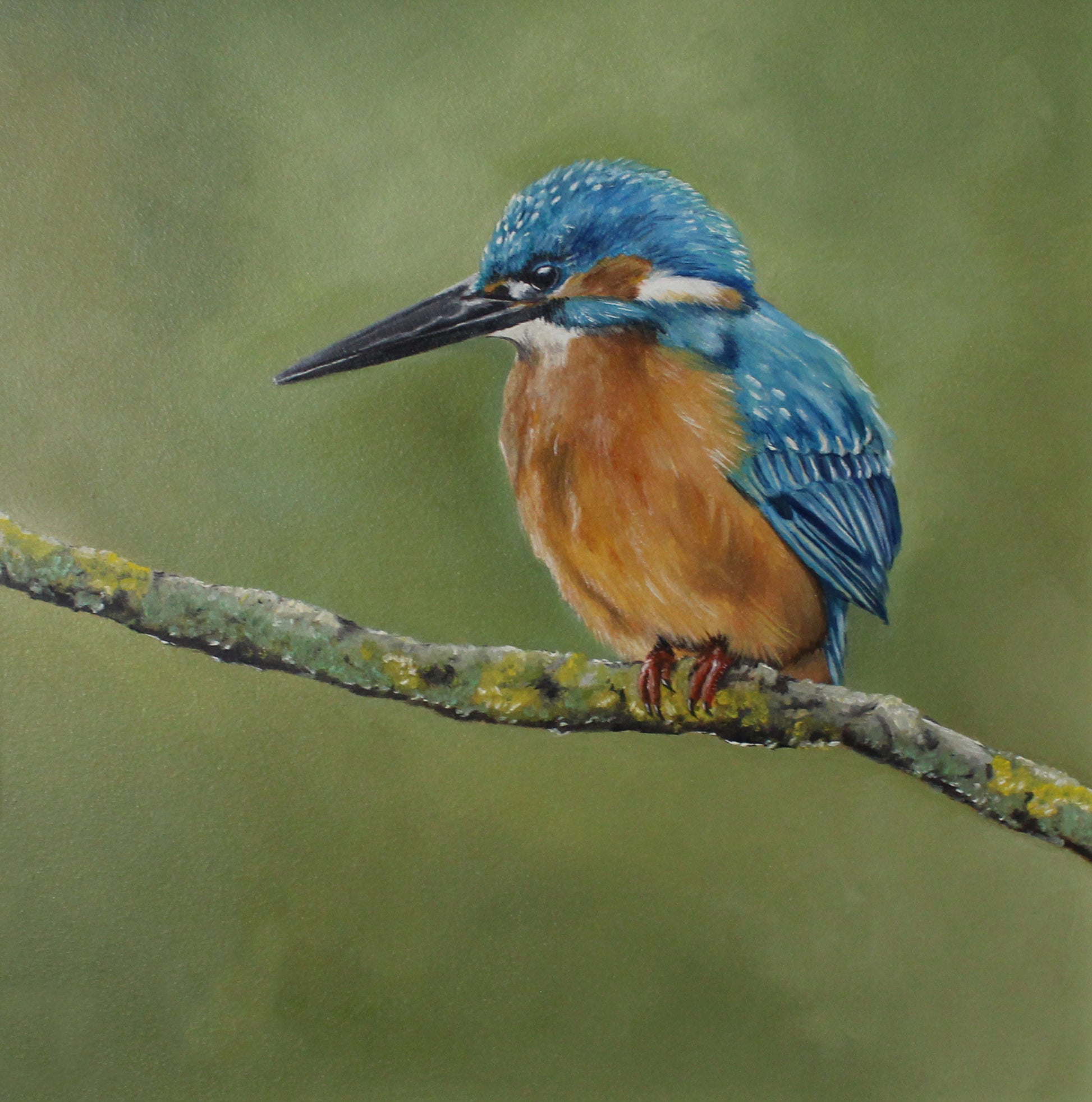 Artistic depiction of a blue and brown bird perched on a branch with a green background