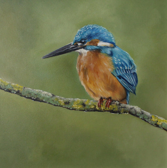 Artistic depiction of a blue and brown bird perched on a branch with a green background