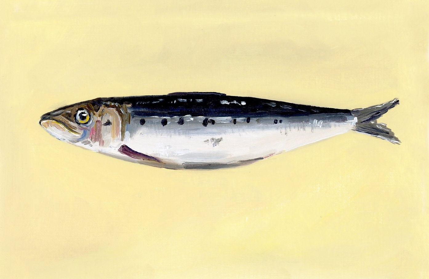 Fish on a yellow background