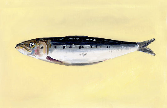 Fish on a yellow background