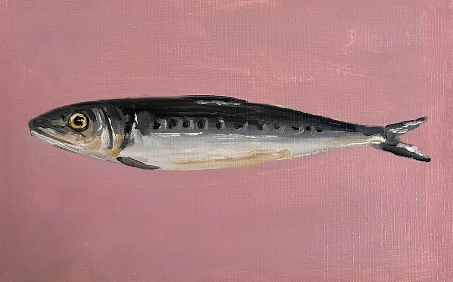 Fish illustration on a pink background