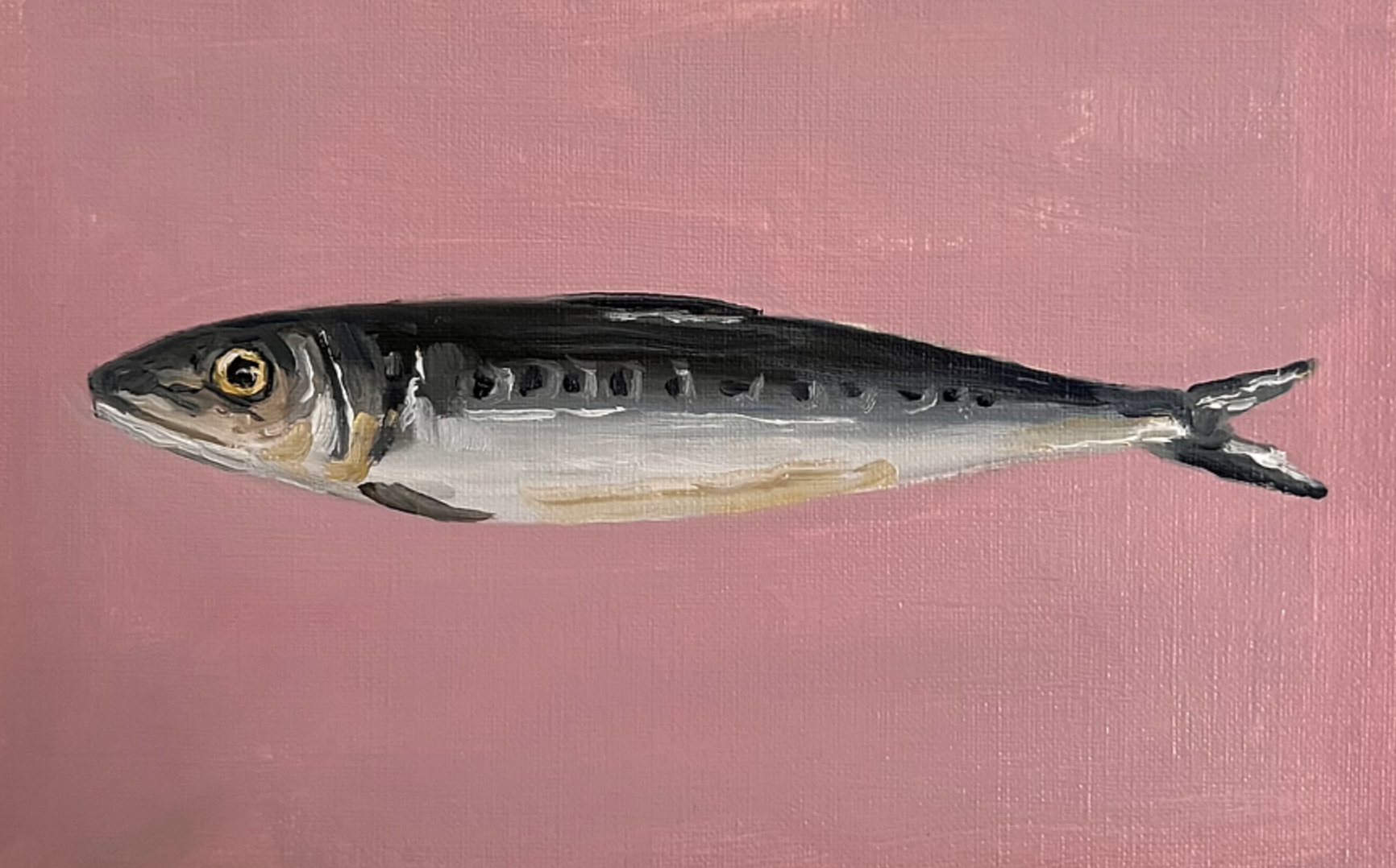 Fish illustration on a pink background