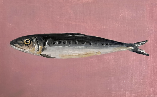 Fish illustration on a pink background