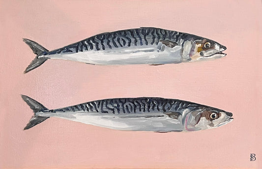 Two mackerel fish on a pink background
